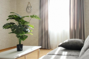 Mary's Cozy Apartment